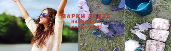 прущие грибы Алзамай