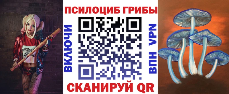 Псилоцибиновые грибы Cubensis  наркота  hydra онион  Советская Гавань 
